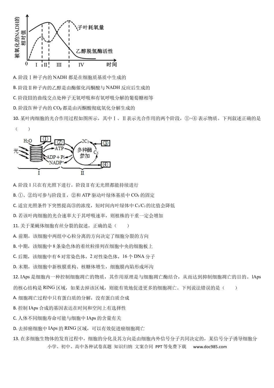 吉林省通化市梅河口市第五中学2024-2025学年高二下学期7月期末生物试题（含答案）(1).docx