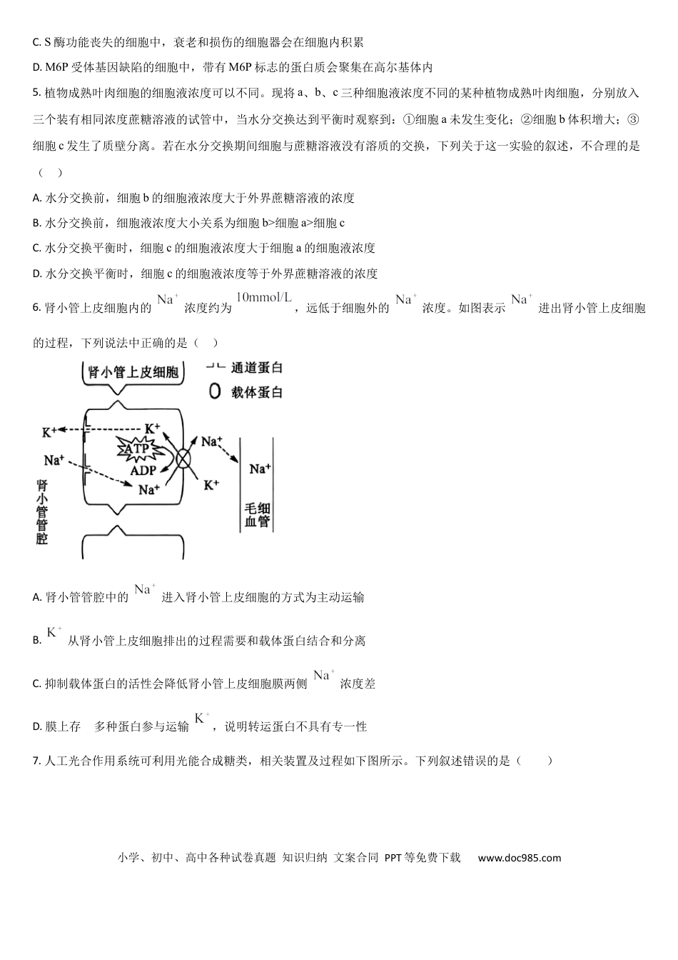 吉林省通化市梅河口市第五中学2025-2026学年高三上学期10月期中生物试题（含答案）(3).docx