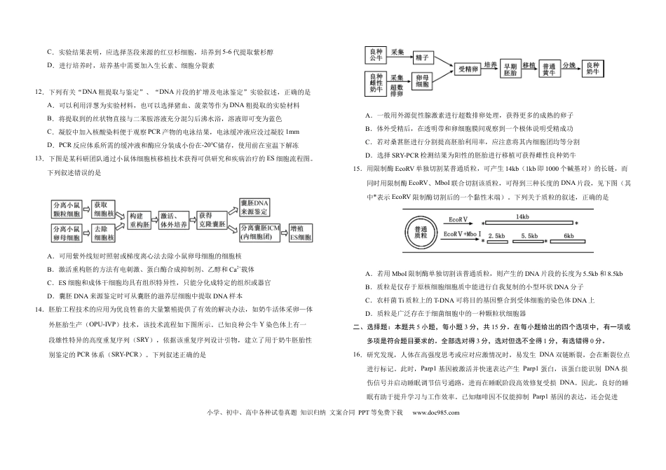 吉林省长春市朝阳区长春外国语学校2024-2025学年高二下学期7月期末生物试题（含答案）(1).docx