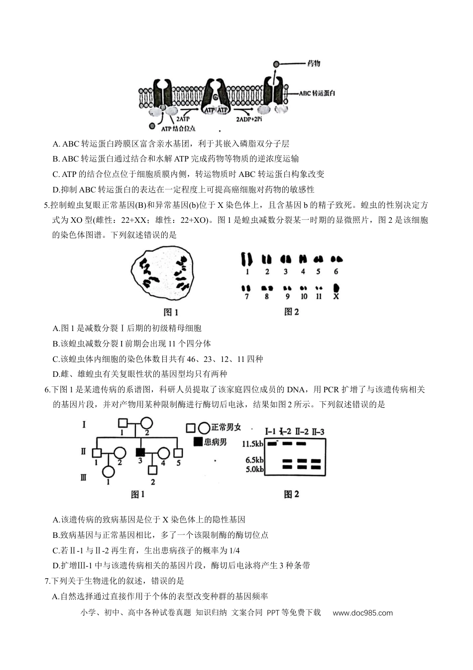 江苏省南京市2026届高三年级9月学情调研生物学试卷（有答案）(1).docx