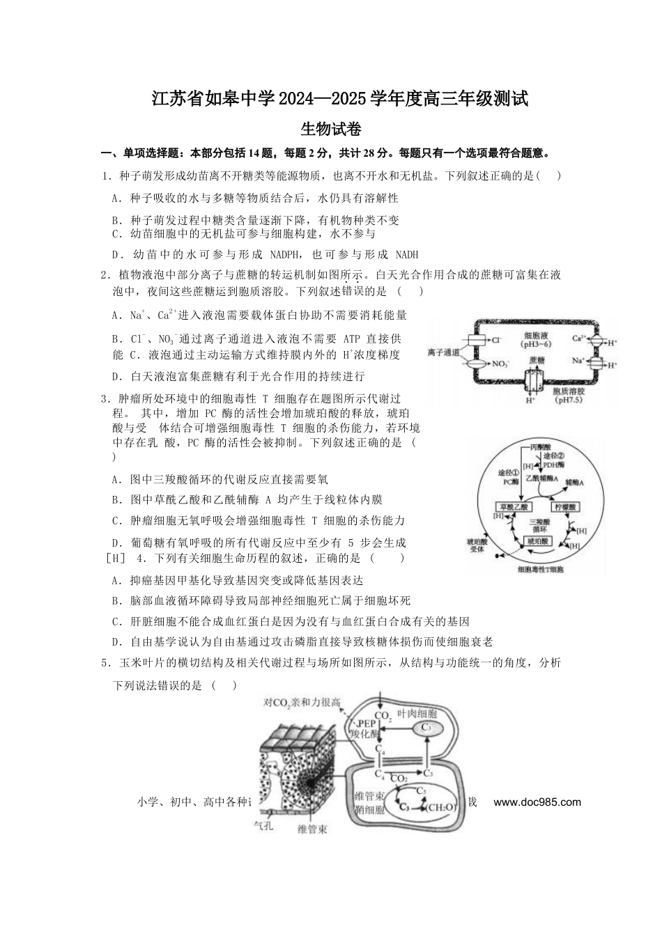 江苏省如皋中学2024—2025学年度高三年级测试生物试题（含答案）(1).docx
