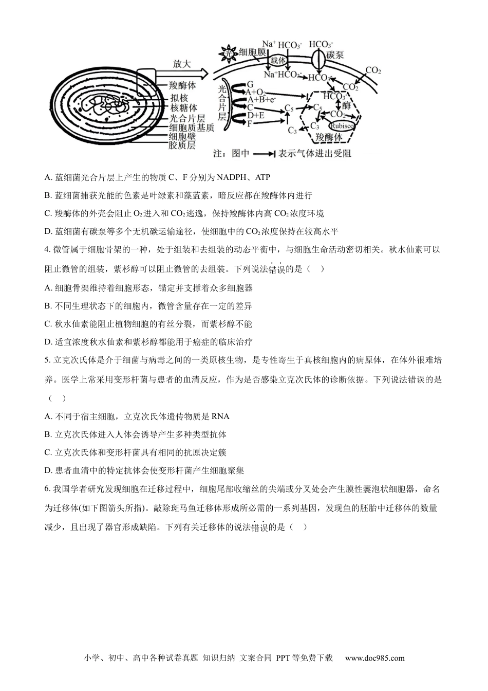 江苏省泰州市2023-2024学年高二下学期6月期末考试生物试题（含答案）(2).docx
