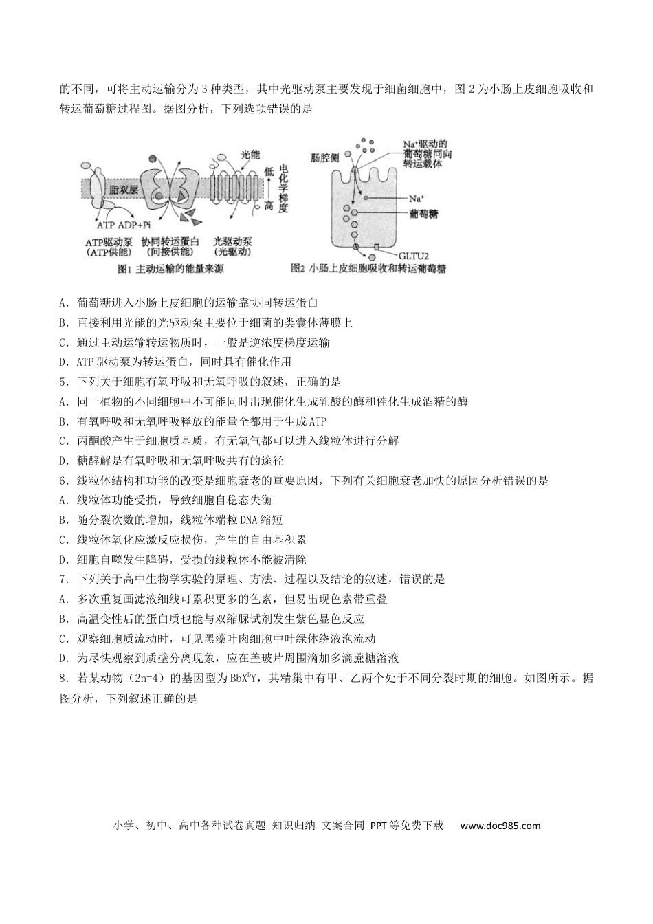 江苏省扬州市高邮市2026届高三上学期10月学情调研测试 生物 Word版含答案(1).docx