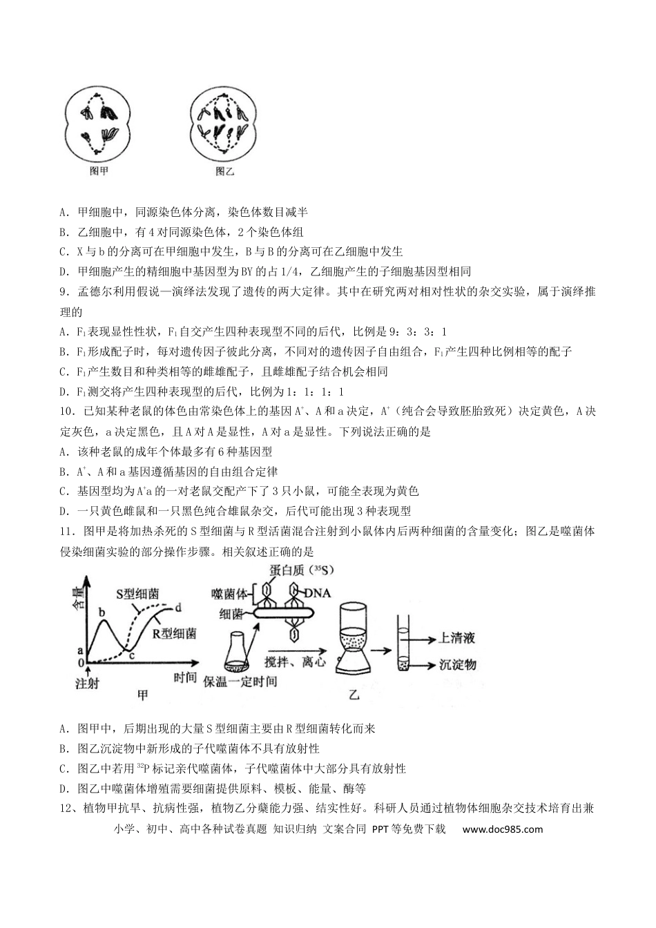 江苏省扬州市高邮市2026届高三上学期10月学情调研测试 生物 Word版含答案(1).docx