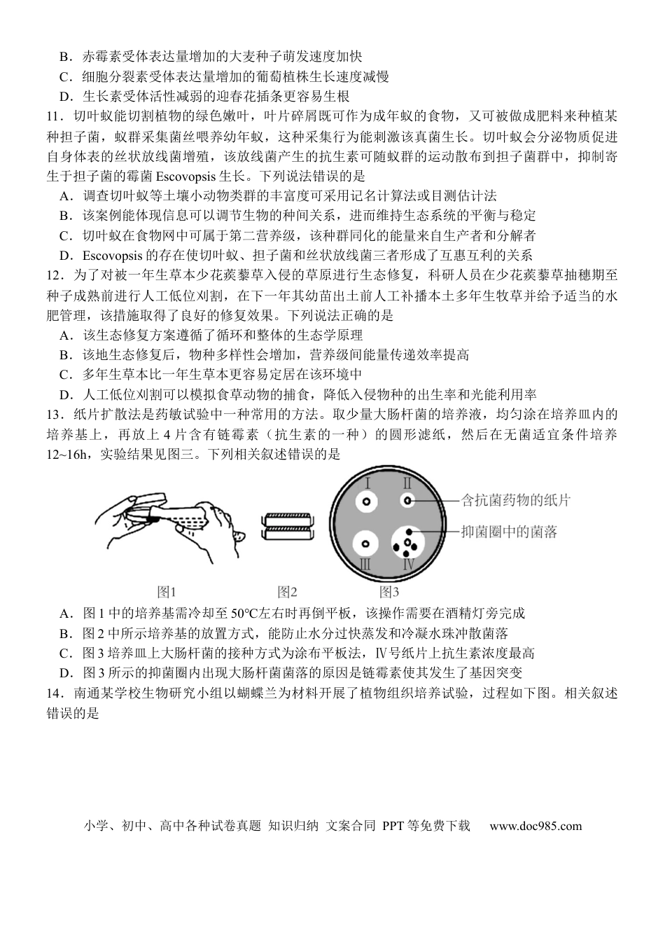 江苏省扬州中学2024-2025学年高三下学期2月月考生物试题+答案(1).docx