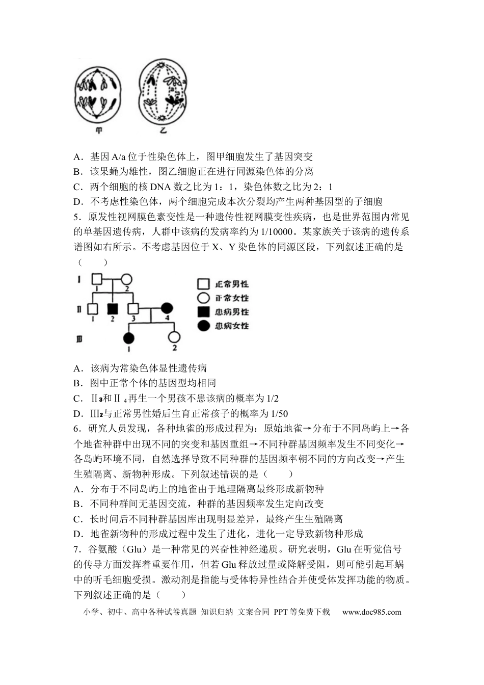 金太阳2024届高三年级下学期5月大联考（钢笔）生物（HEB）(1).docx