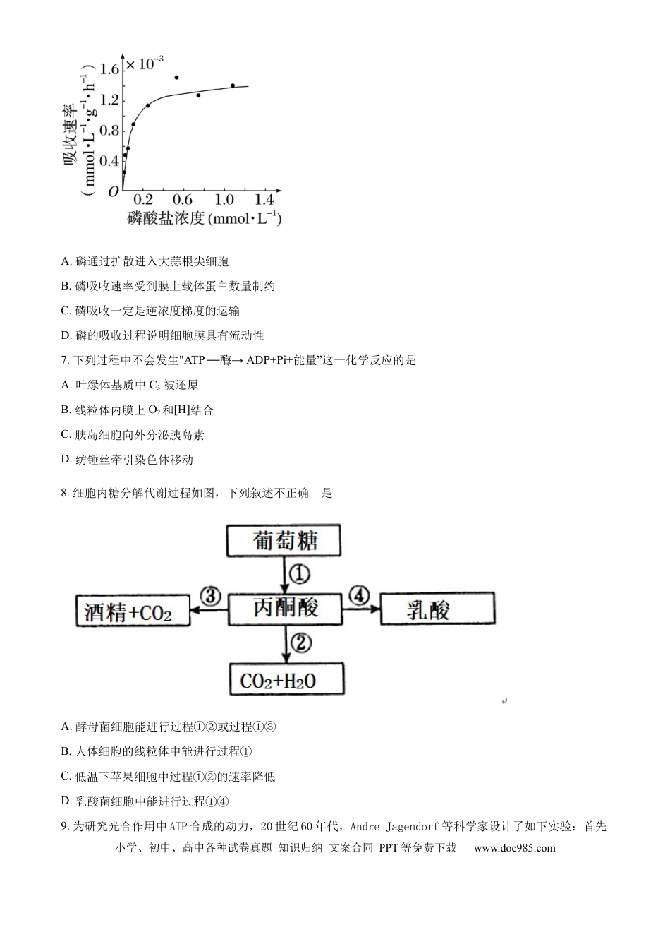 精品解析：北京市西城区北京市育才学校2025-2026学年高三上学期9月月考生物试题（原卷版）.docx