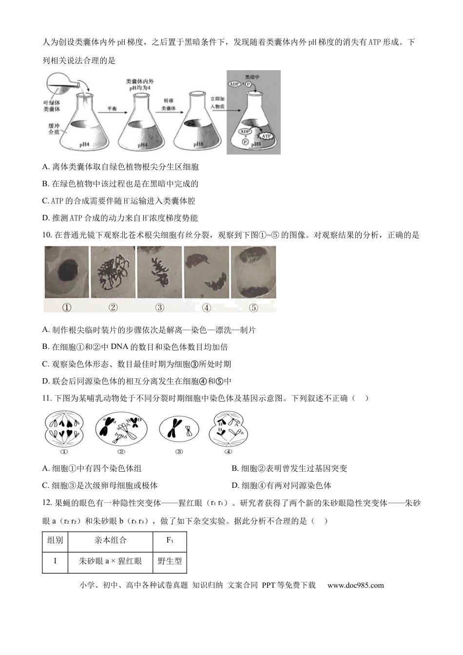精品解析：北京市西城区北京市育才学校2025-2026学年高三上学期9月月考生物试题（原卷版）.docx