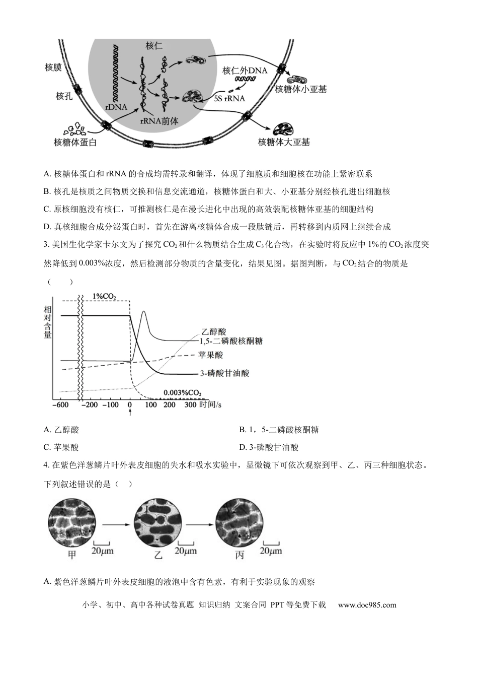 精品解析：河北省石家庄市长安区石家庄市第一中学2025-2026学年高三上学期9月月考生物试题（原卷版）.docx
