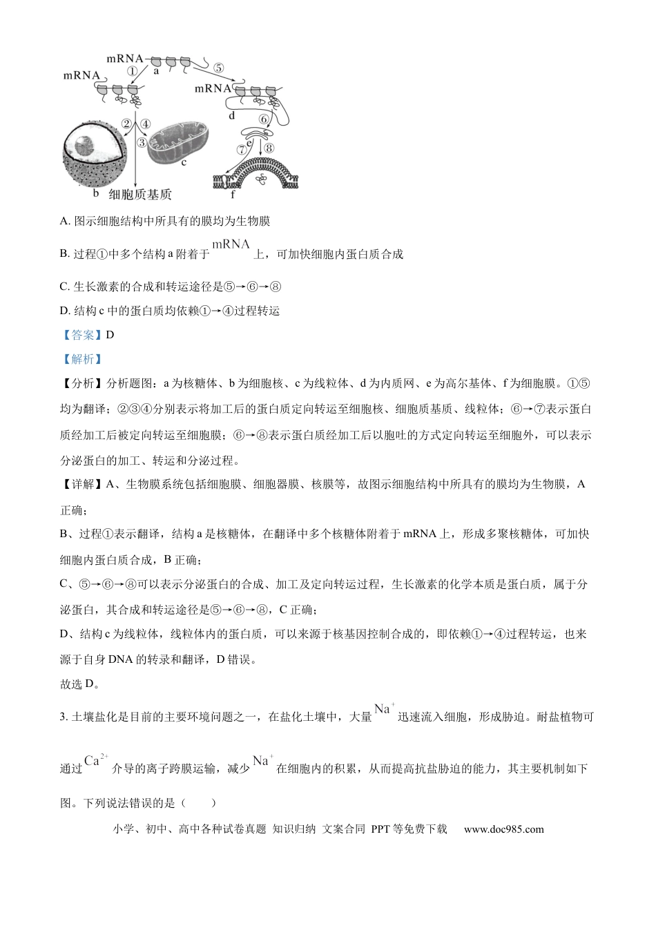 精品解析：湖南省郴州市2024—2025学年高三上学期第一次模拟考试生物试题（解析版）(1).docx