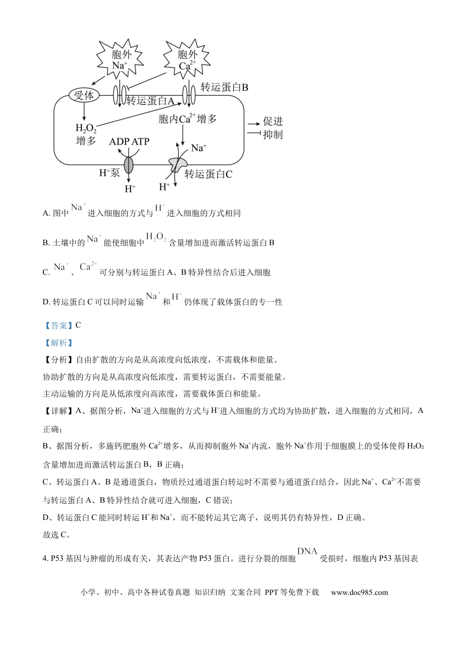 精品解析：湖南省郴州市2024—2025学年高三上学期第一次模拟考试生物试题（解析版）.docx