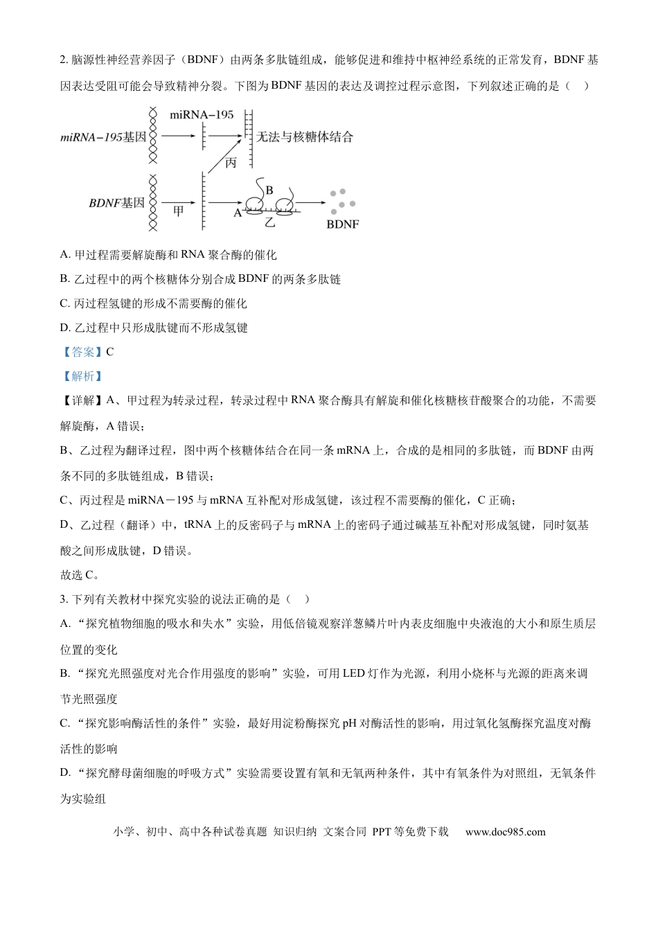 精品解析：湖南省衡阳市第一中学2025-2026学年高三下学期第一次月考生物试卷（解析版）(1).docx