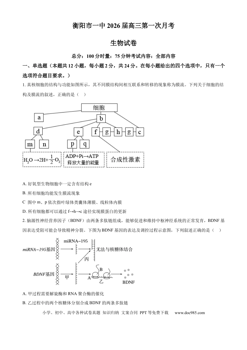 精品解析：湖南省衡阳市第一中学2025-2026学年高三下学期第一次月考生物试卷（原卷版）.docx