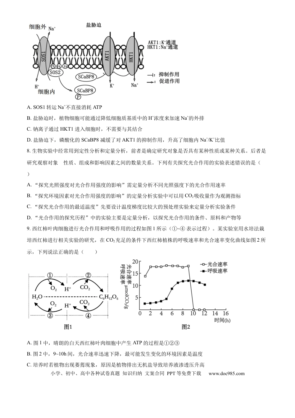 精品解析：山东省实验中学2025—2026学年高三上学期第一次诊断性考试生物试题（原卷版）.docx
