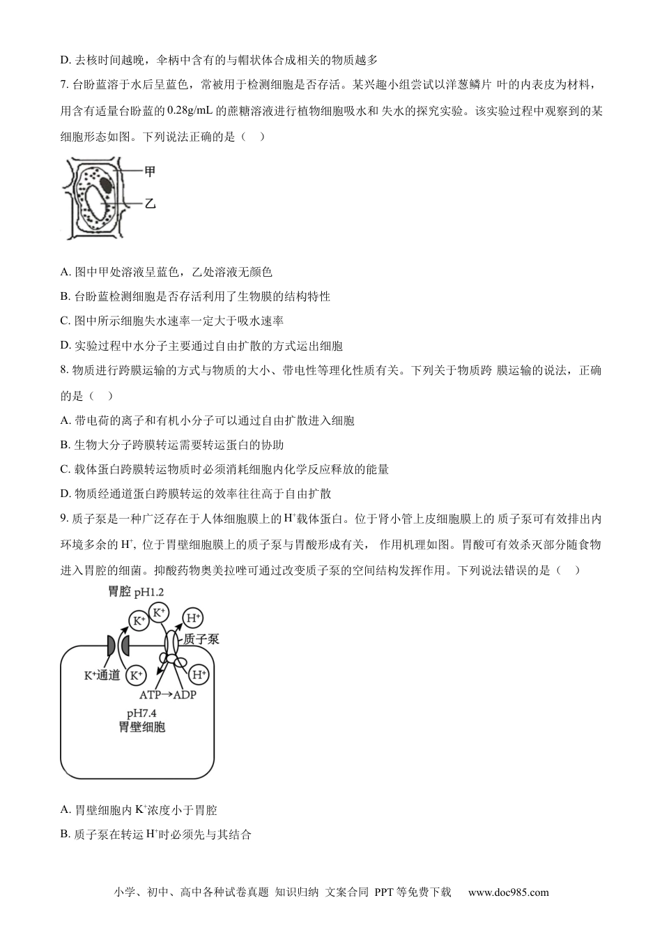 精品解析：山东省潍坊市2023-2024学年高二下学期期末考试生物试卷（原卷版）(1).docx