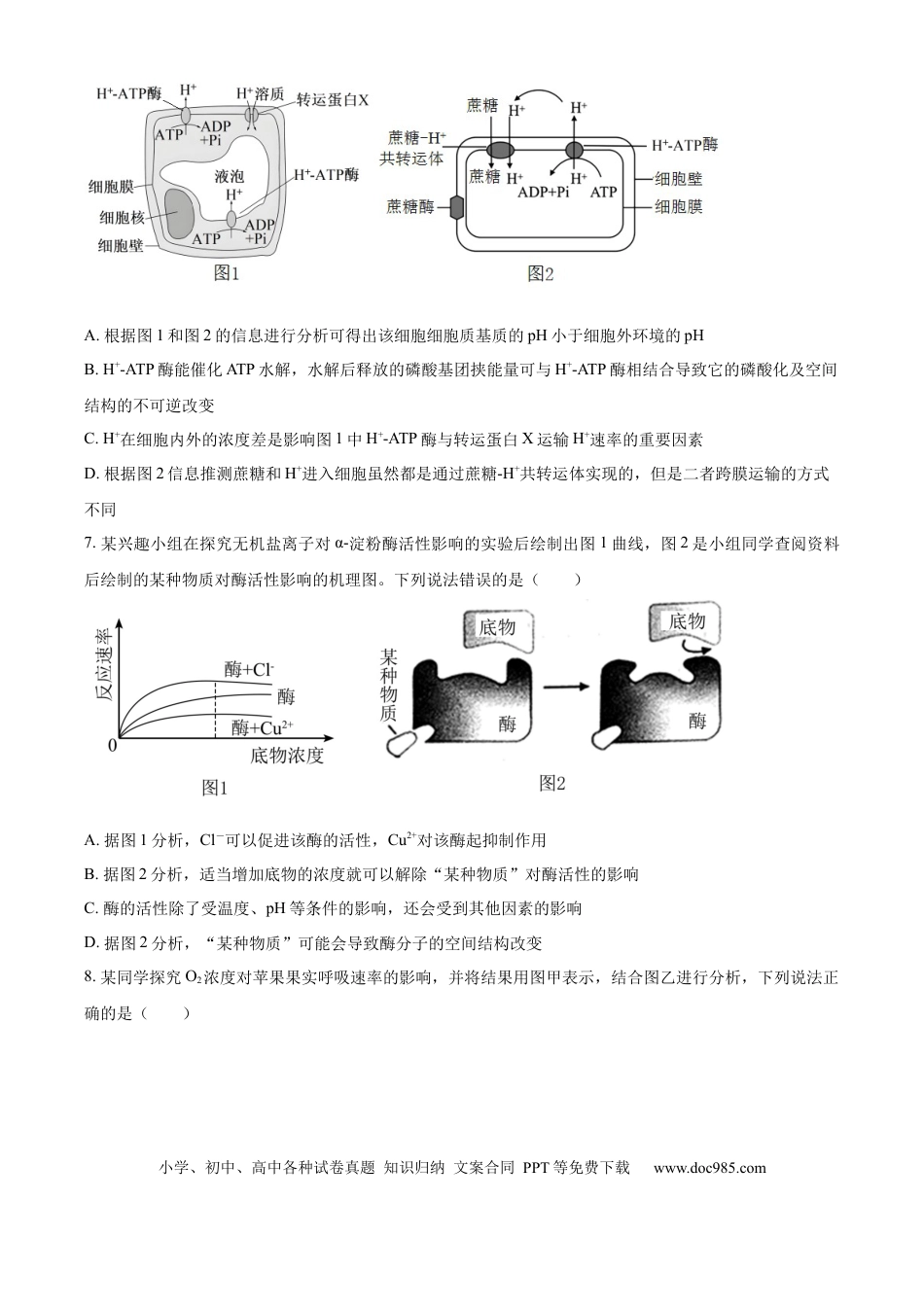精品解析：四川省成都市蓉城名校2024-2025学年高三上学期入学考试生物试题（原卷版）.docx