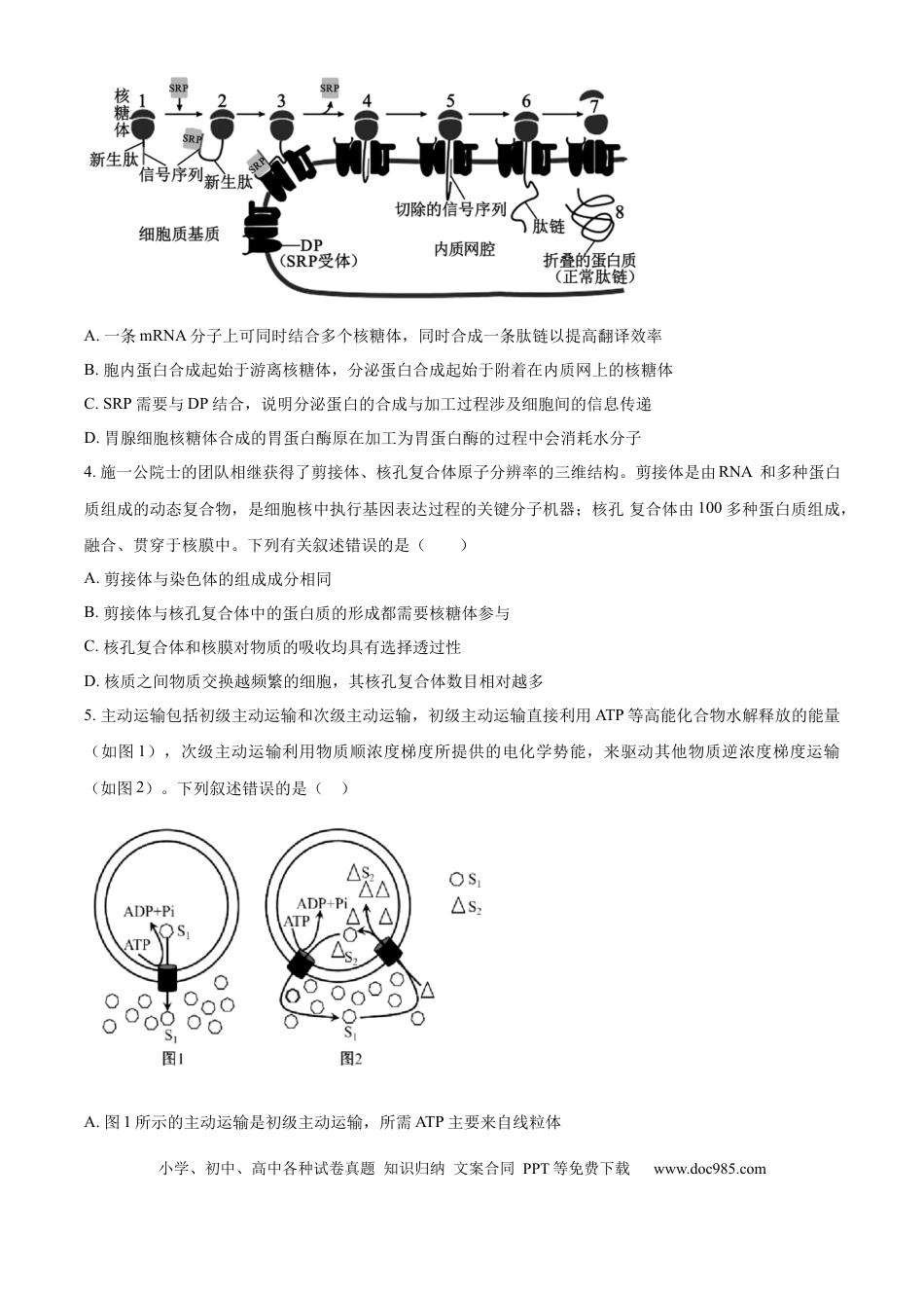 精品解析：重庆市八中2025-2026学年高三上学期入学考试生物试卷（原卷版）.docx