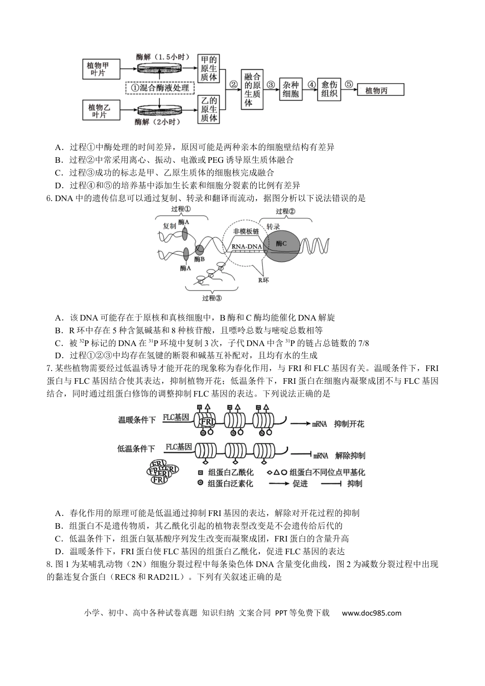 绵阳南山中学实验学校2025-2026学年高三上学期9月月考+生物(1).docx