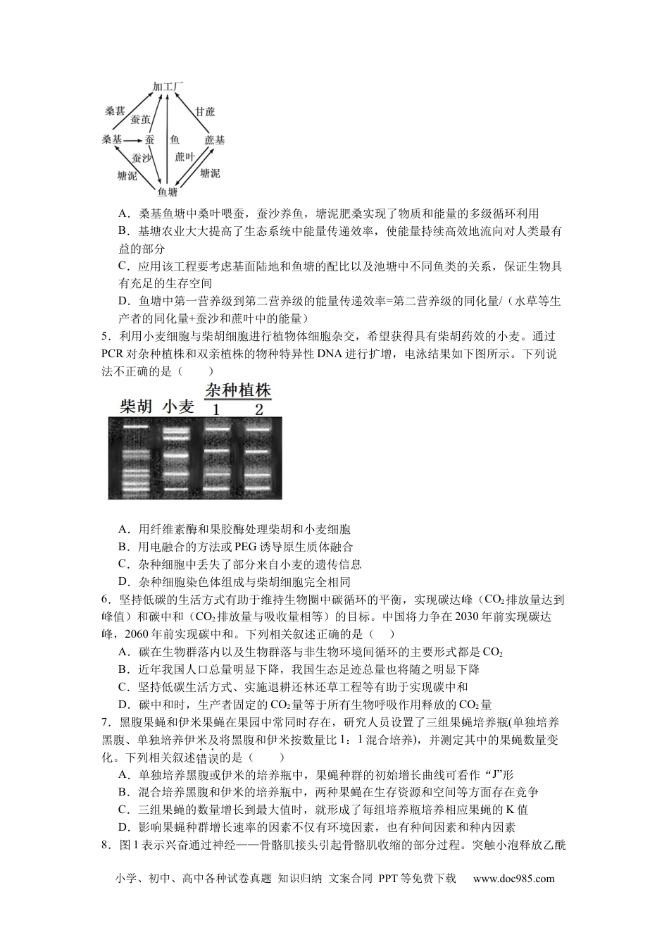南昌十九中2024-2025学年第二学期2月月考高三生物+答案(1).docx