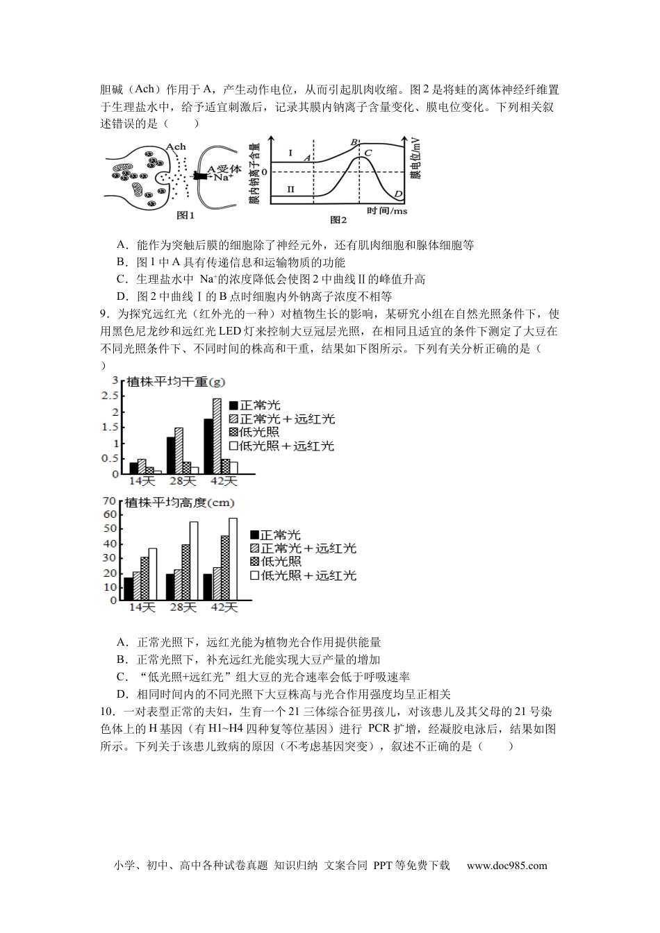 南昌十九中2024-2025学年第二学期2月月考高三生物+答案(2).docx