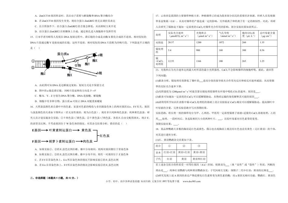 宁夏石嘴山市第一中学2024-2025学年高三上学期1月期末生物(3).docx