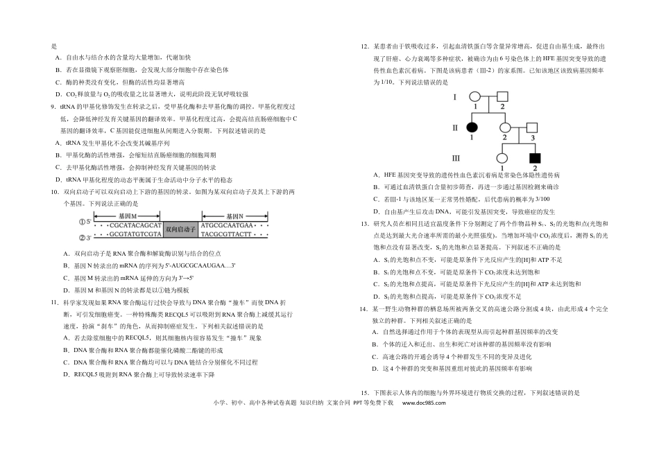 宁夏银川第一中学2025-2026学年高三上学期第五次月考生物试题(1).docx