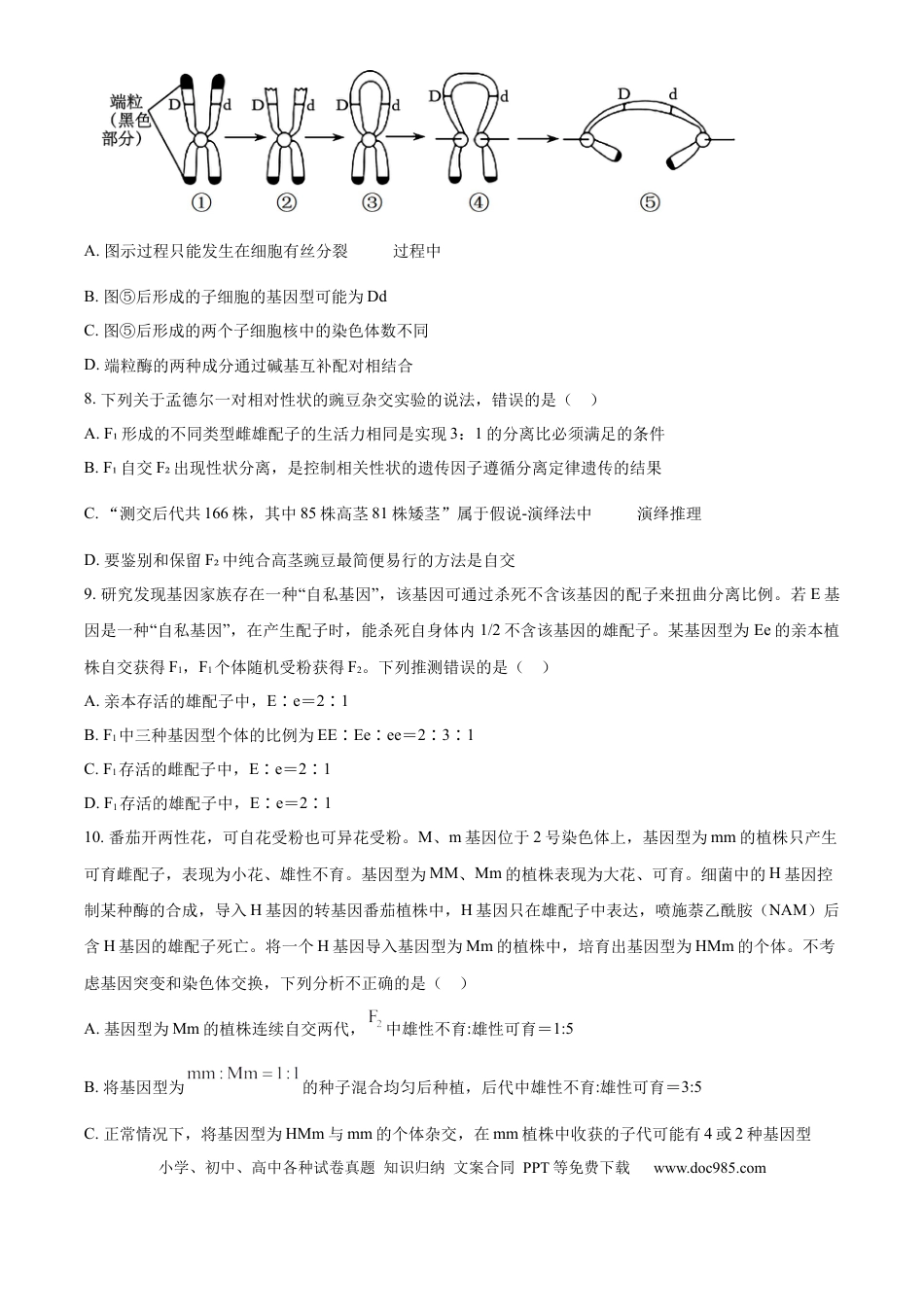 山东省济宁市实验中学2025届高三上学期10月月考生物试题(1).docx