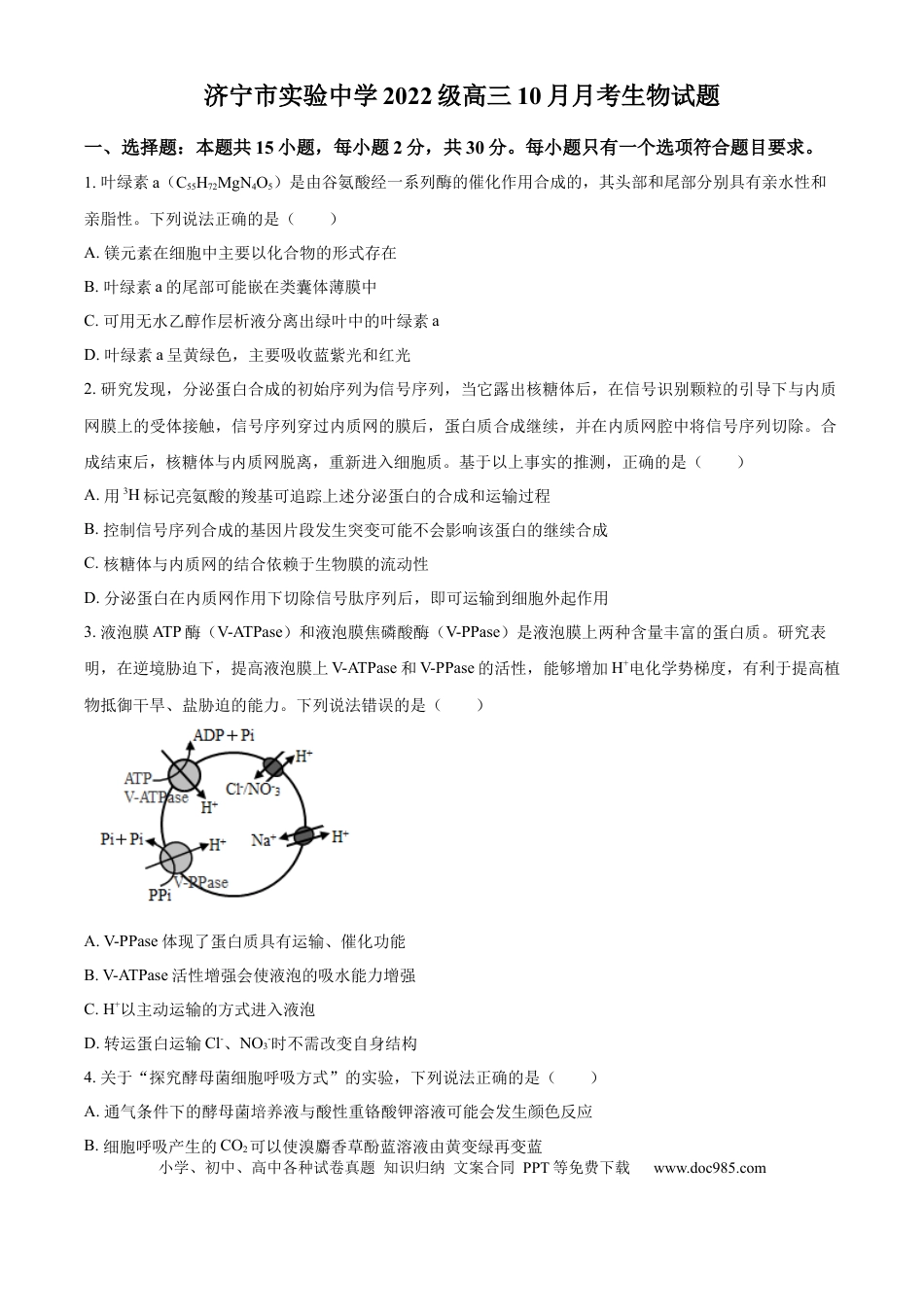 山东省济宁市实验中学2025届高三上学期10月月考生物试题.docx