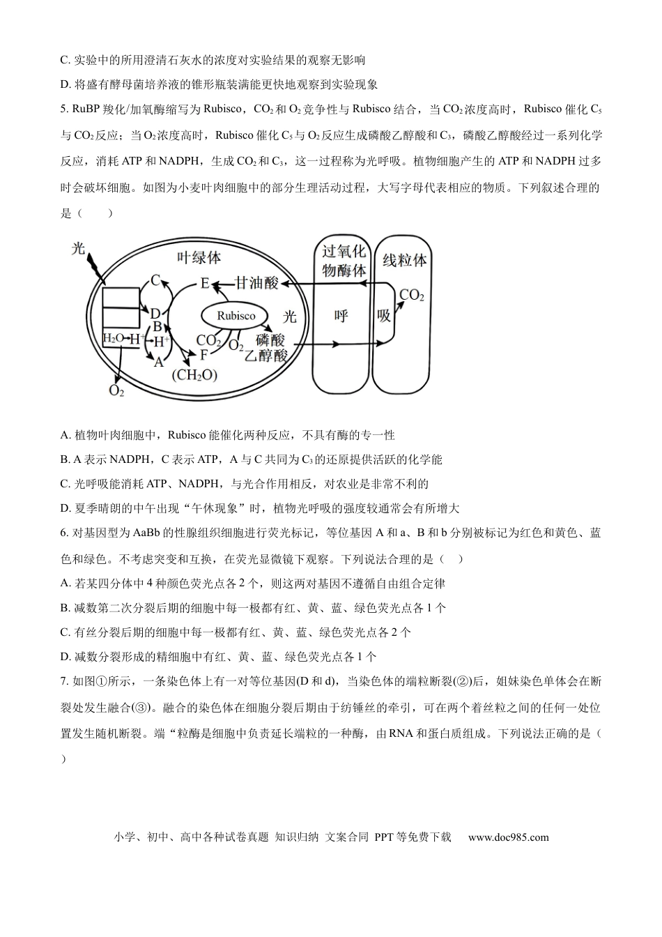 山东省济宁市实验中学2025届高三上学期10月月考生物试题.docx