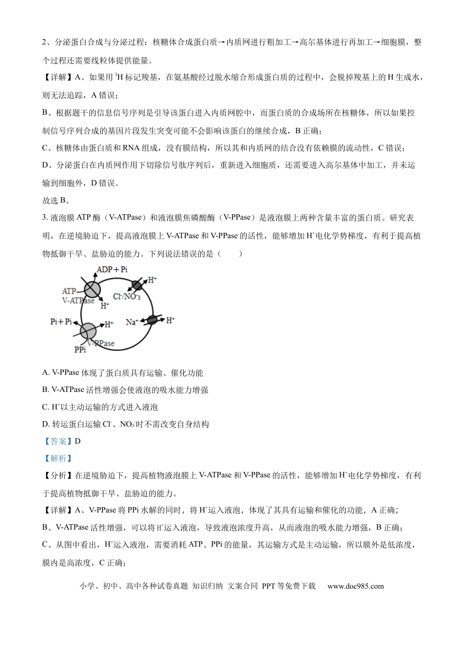 山东省济宁市实验中学2025届高三上学期10月月考生物试题word版含解析(1).docx
