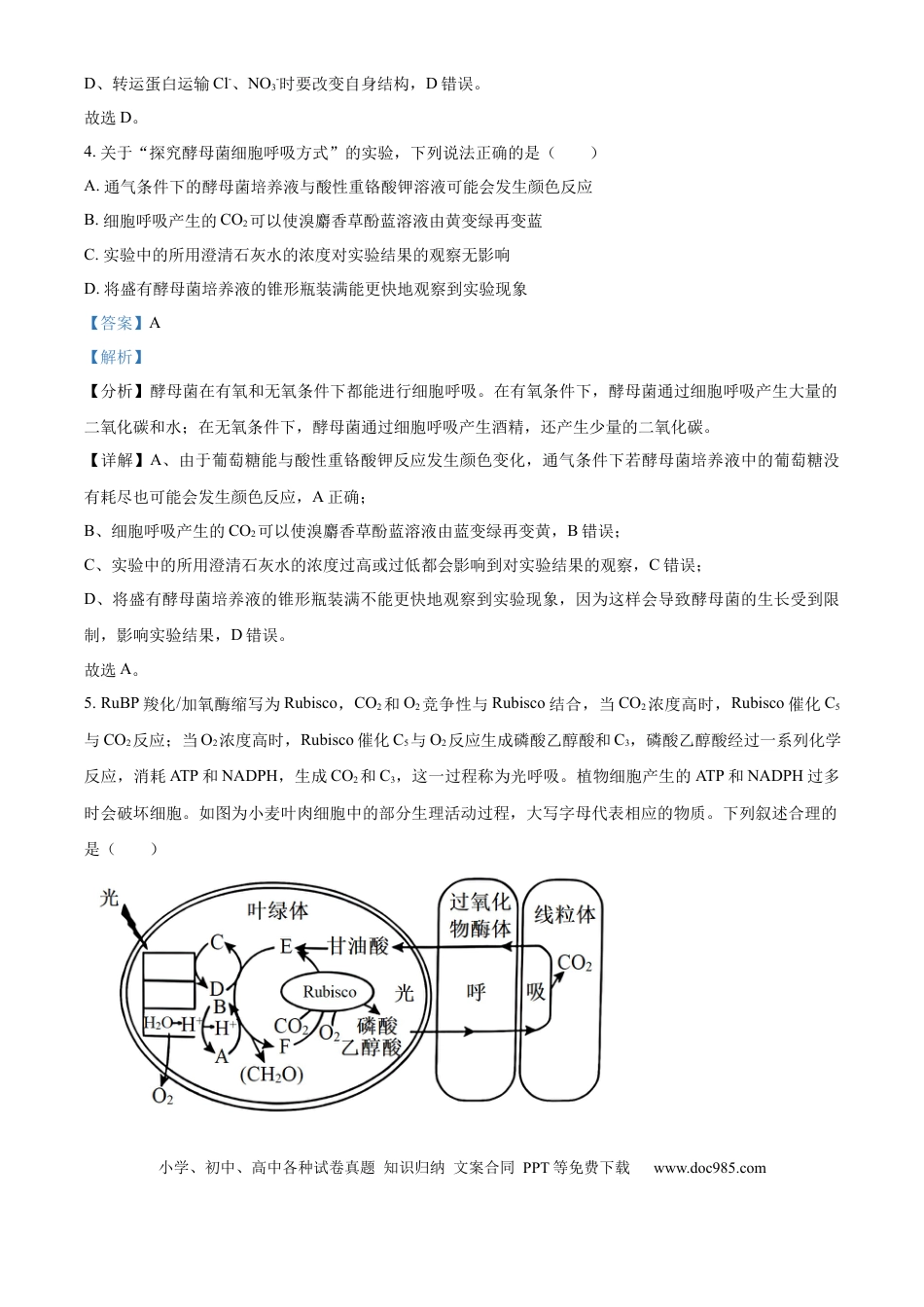 山东省济宁市实验中学2025届高三上学期10月月考生物试题word版含解析(1).docx