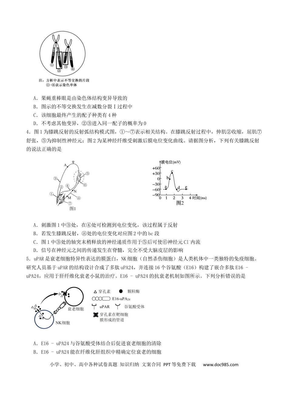 山东省启思大联考2026届高三上学期暑假第一次模拟考试（开学）生物试卷（有答案）(2).docx