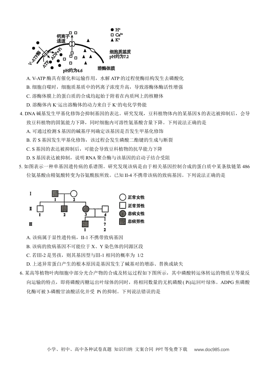 山东省青岛市2024---2025学年高三上学期期初考试生物试题(1).docx