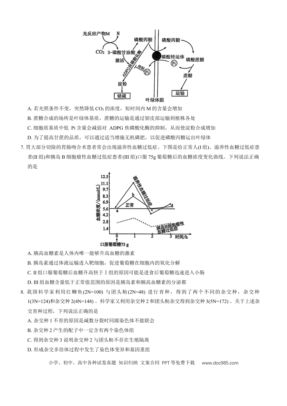 山东省青岛市2024---2025学年高三上学期期初考试生物试题.docx