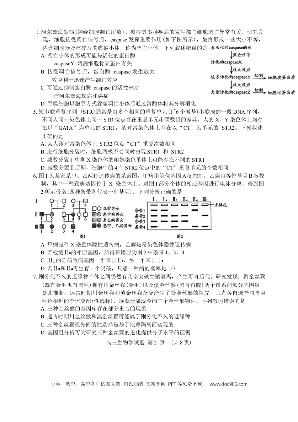 山东省日照市2025届高三2月校际联合考试生物学试卷（含答案）(1).docx