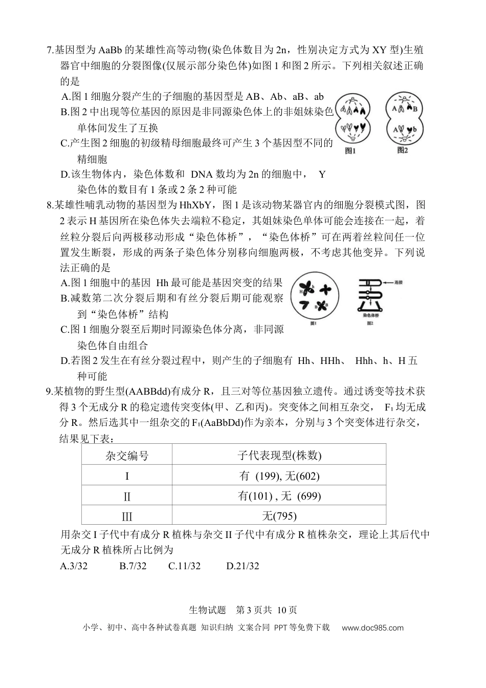 山东省实验中学2025-2026学年高三上学期第二次诊断性考试生物试题（含答案）.docx