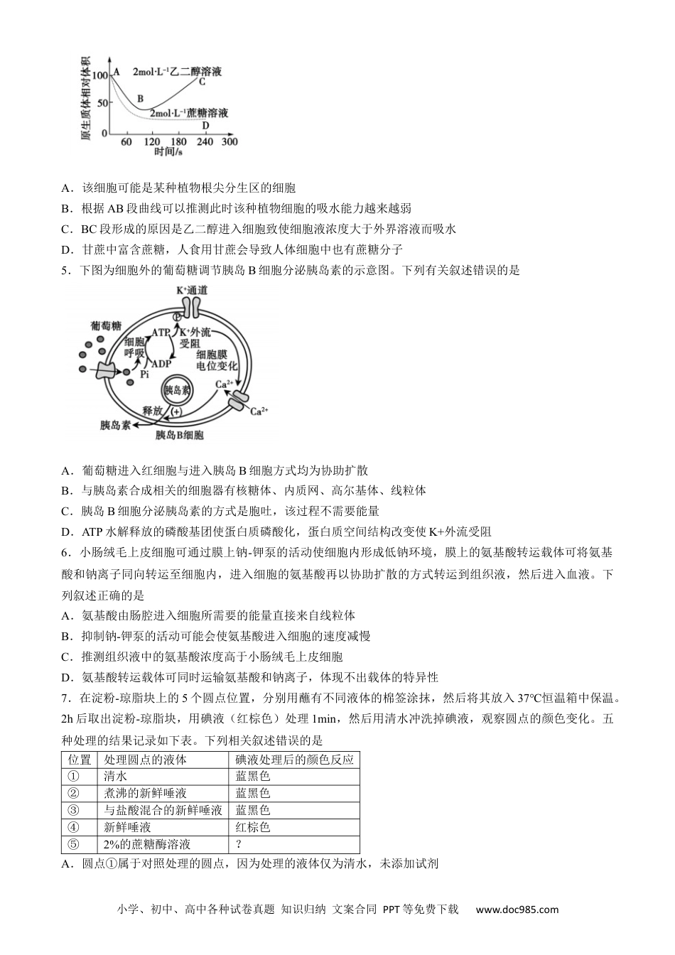山东省泰安市2023-2024学年高二下学期7月期末生物试题.docx