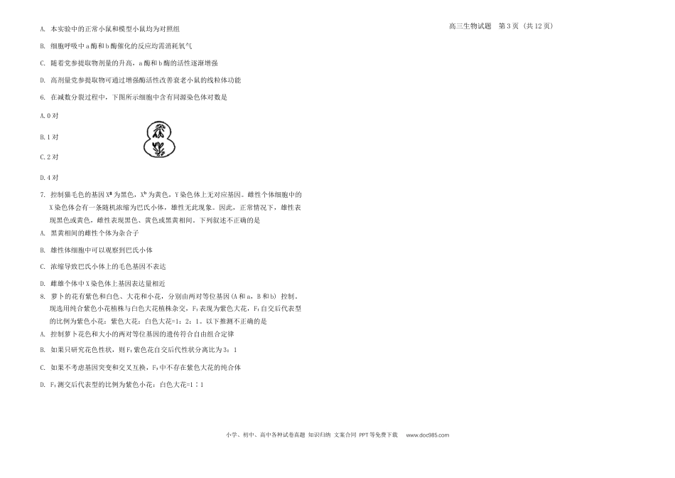 山东省泰安市肥城市2024-2025学年高三上学期开学考试 生物试题+答案(4).docx