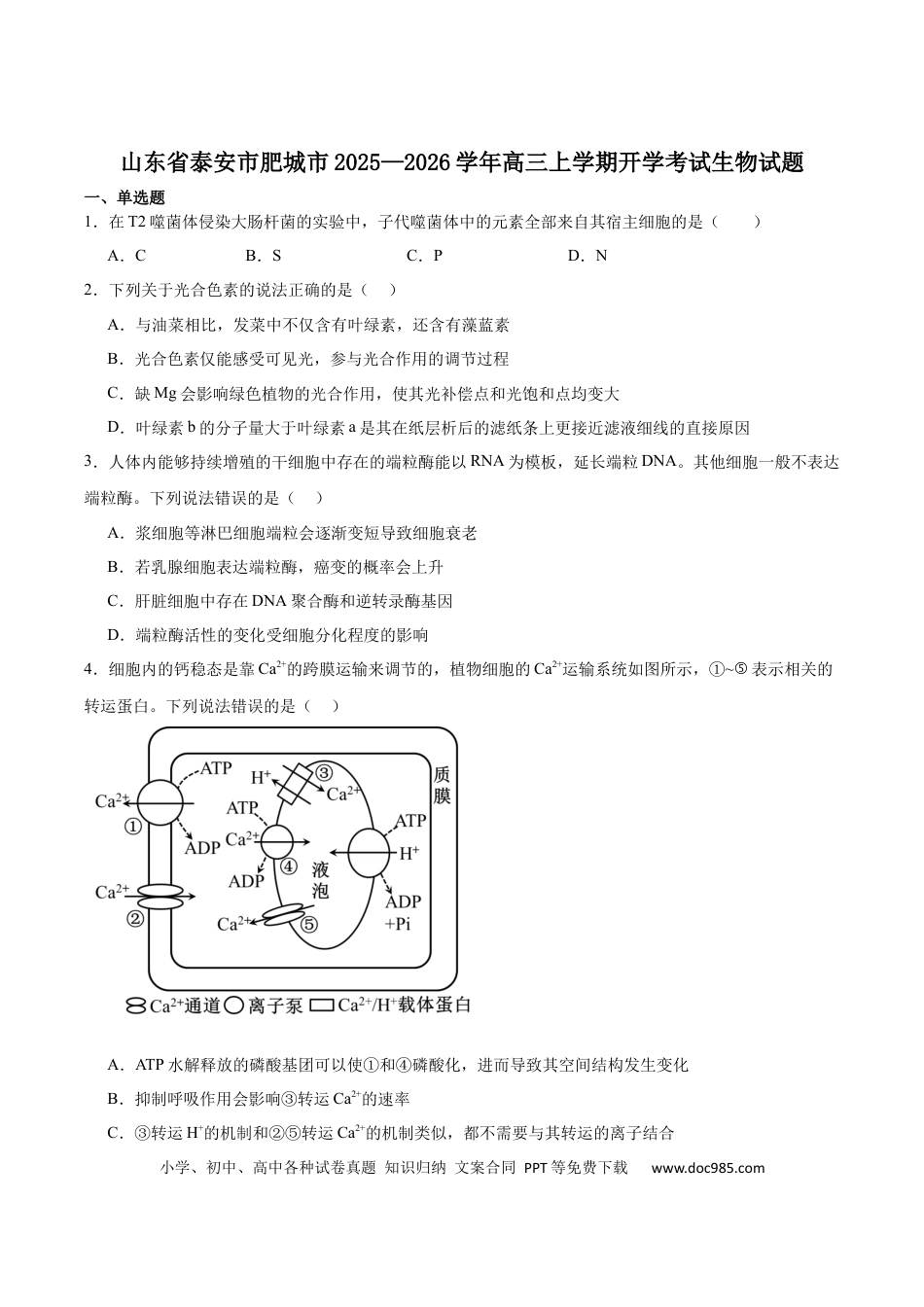 山东省泰安市肥城市2026届高三上学期开学考试生物试卷（含答案）.docx