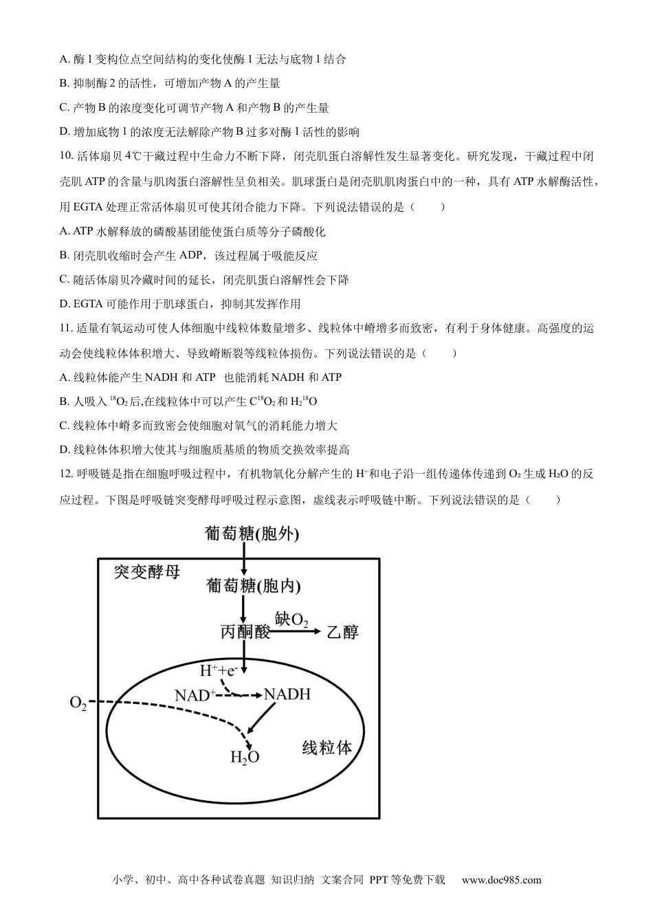 山东省烟台市2023-2024学年高二下学期7月期末考试 生物 Word版含解析(2).docx