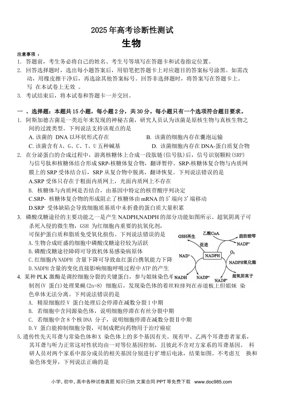 山东省烟台市2025届高三一模考试 生物试题（含答案）(1).docx