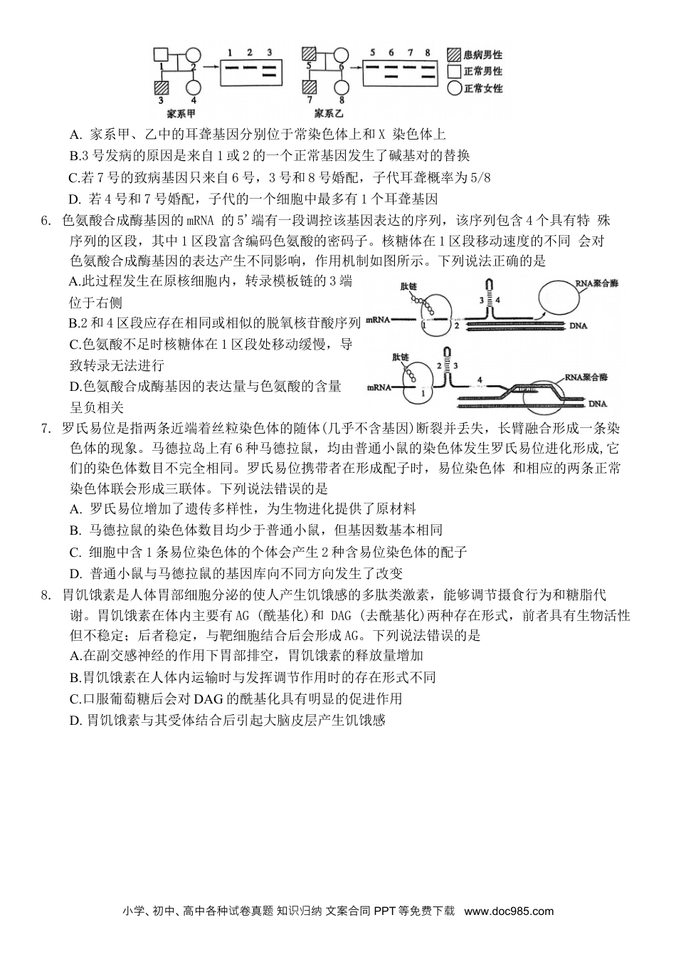 山东省烟台市2025届高三一模考试 生物试题（含答案）.docx
