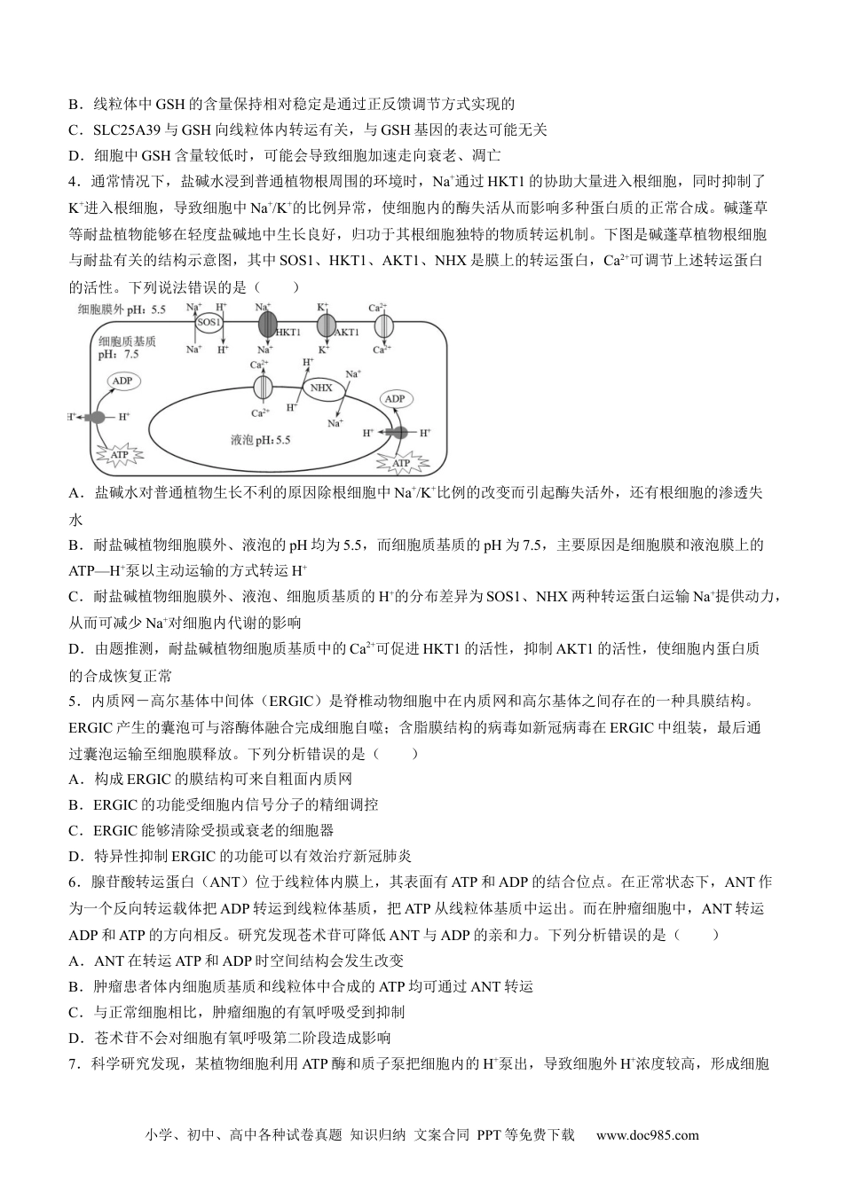 山东省淄博市张店区淄博实验中学2023-2024学年高二下学期6月月考生物试题（含答案）(2).docx