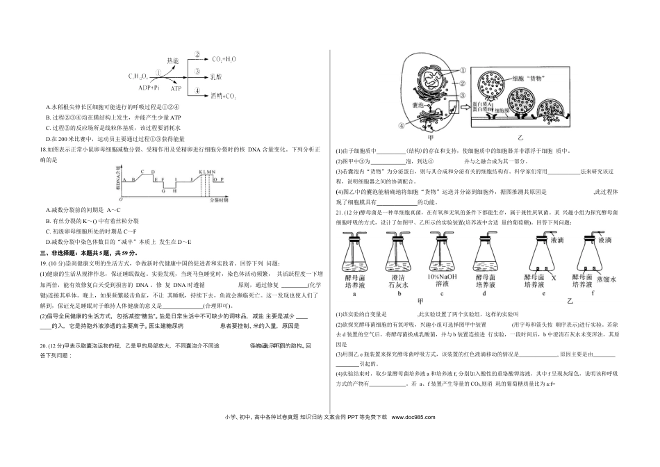 山西省朔州市怀仁市第一中学校2024-2025学年高三上学期9月月考生物试题(1).docx