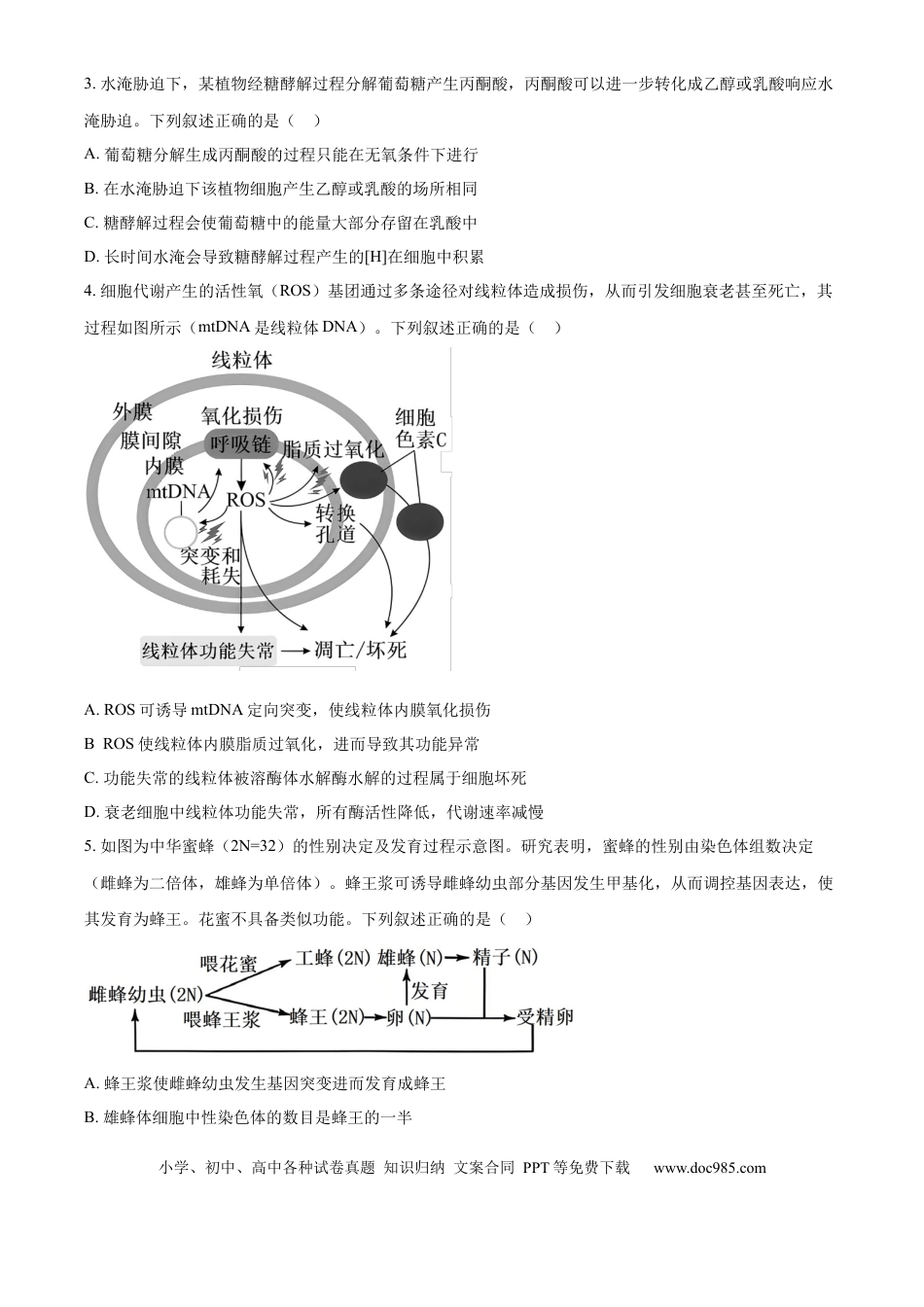 山西省太原市山西大学附属中学校2024-2025学年高三下学期3月月考生物(1).docx