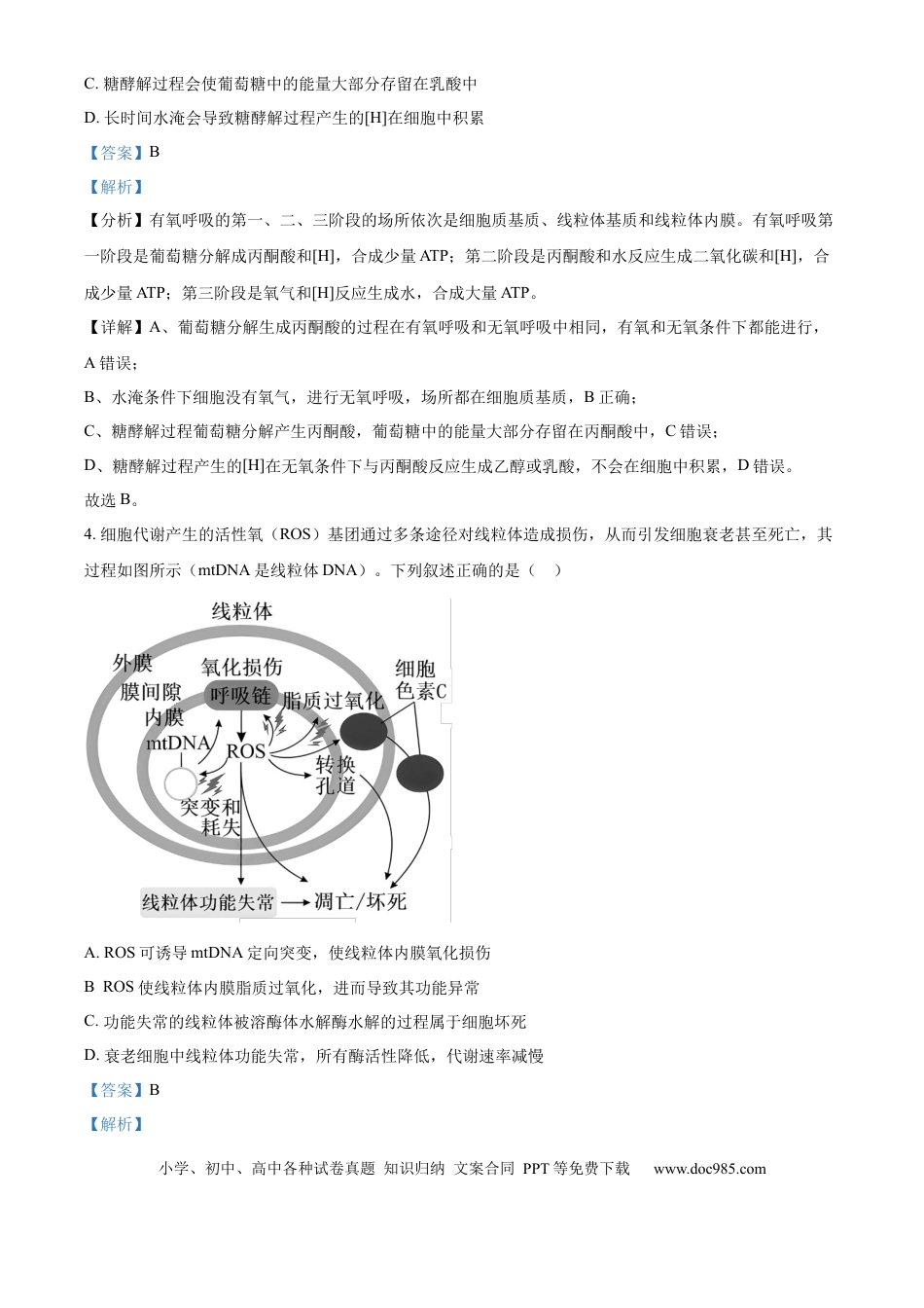 山西省太原市山西大学附属中学校2024-2025学年高三下学期3月月考生物答案.docx