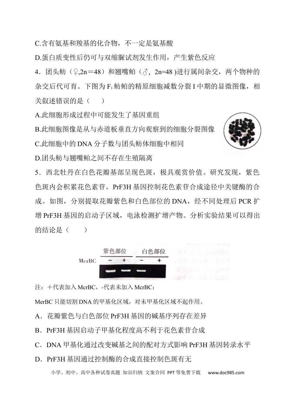 山西省长治市2024-2025学年高三上学期9月质量监测生物试题(1).docx