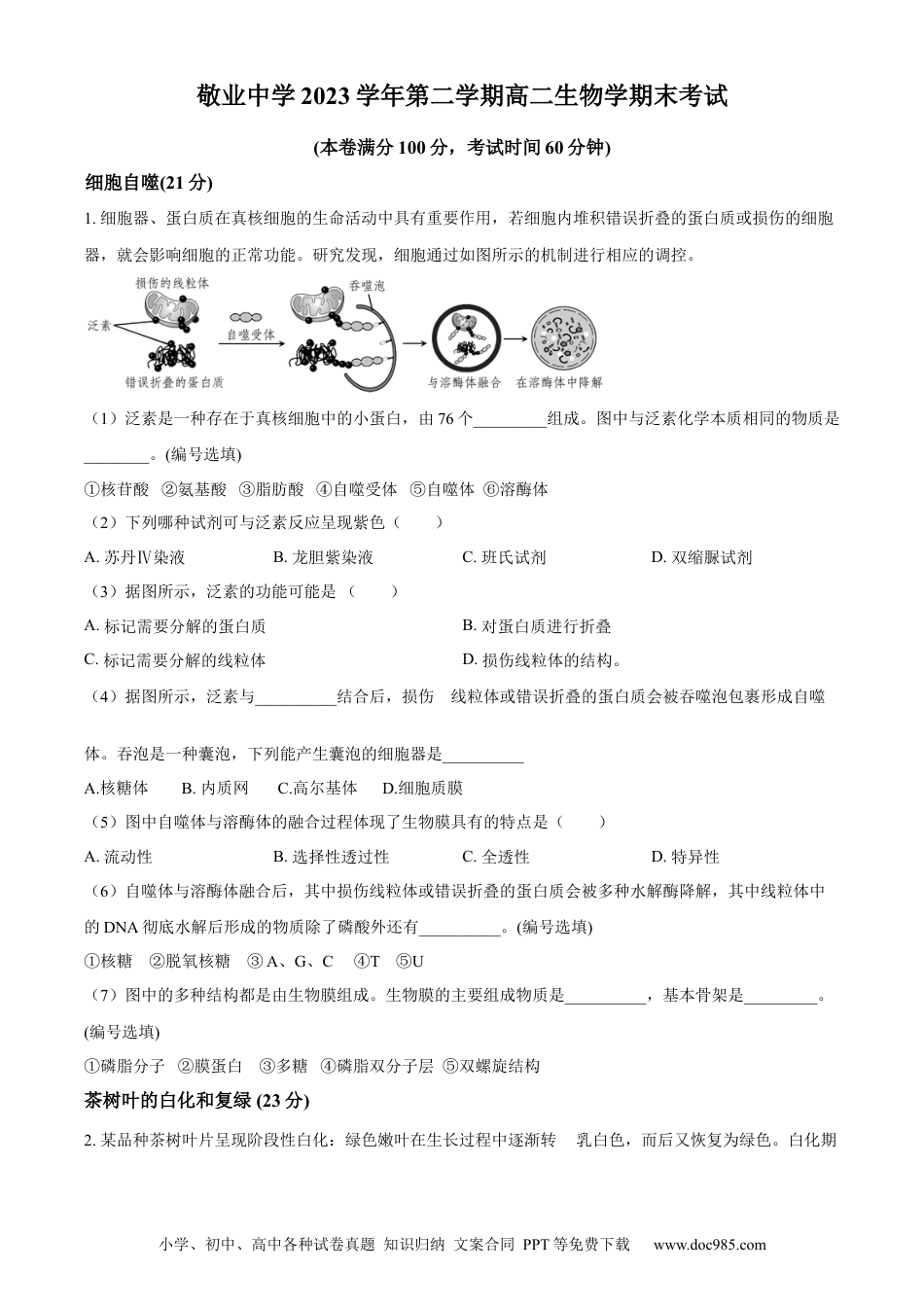 上海市黄浦区敬业中学2023-2024学年高二下学期6月期末生物试题（含答案）.docx