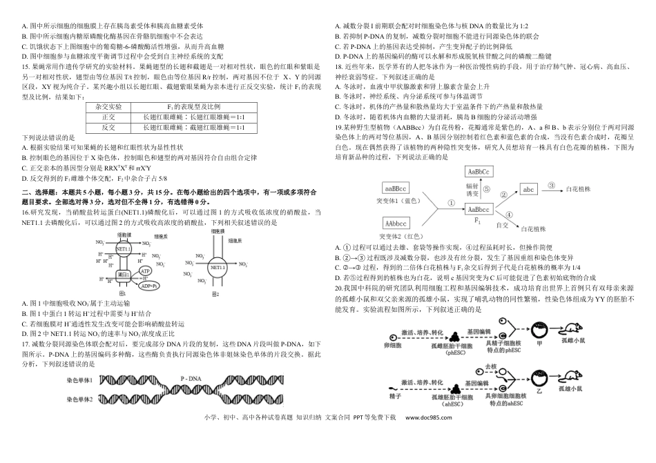 生物二模B4(1).docx