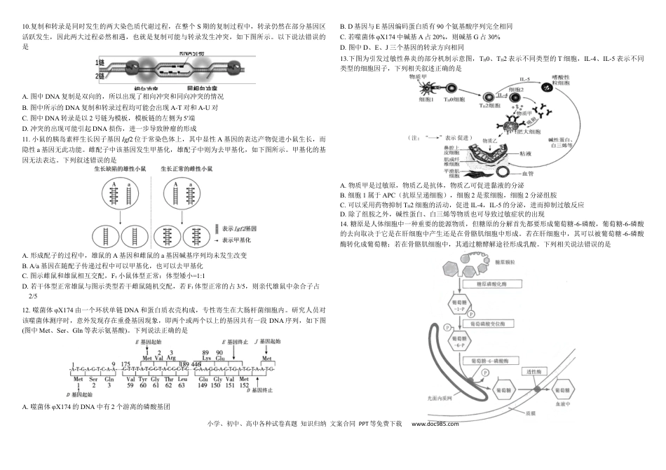 生物二模B4.docx